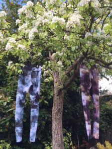 Flip the dog yoga leggings in a tree