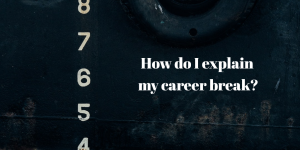 how to explain a career break