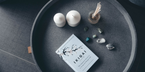 ikaigai book review
