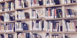 The Balance Collective 2019 Book Club Round Up